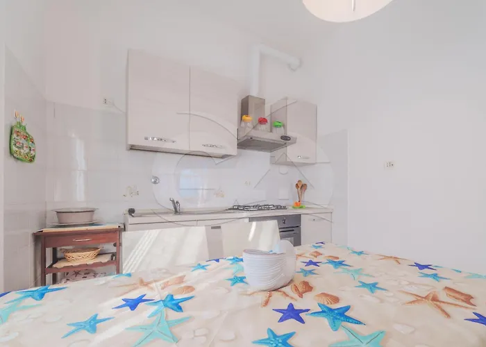 Le Conchiglie - Goelba